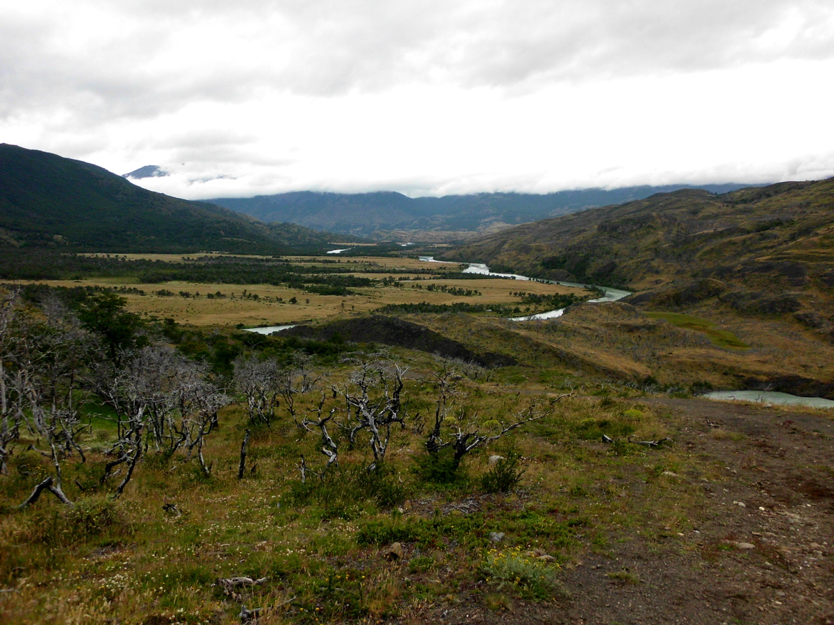SANY0843.JPG