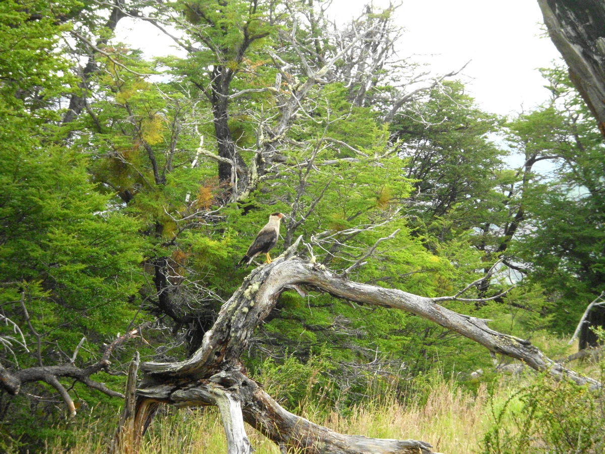 SANY0870.JPG
