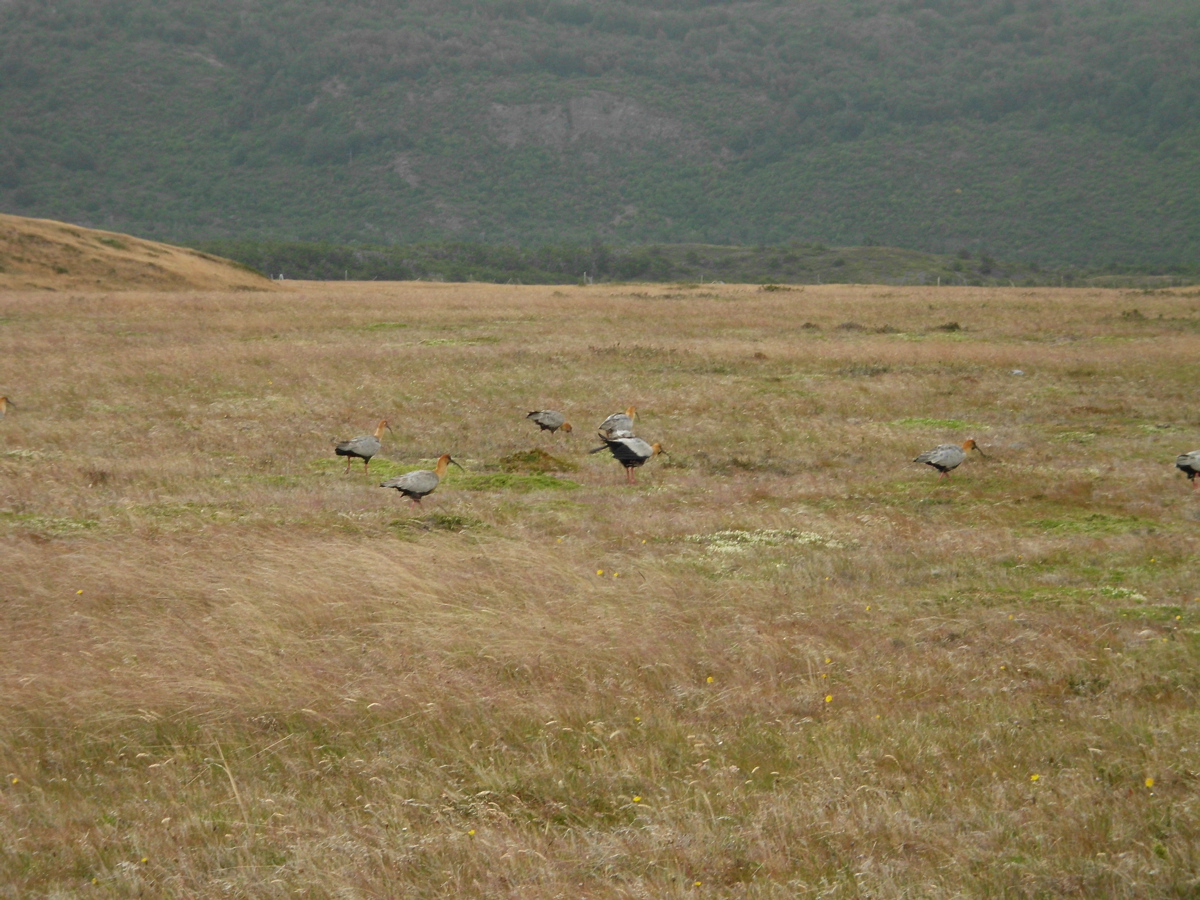 SANY0702.JPG