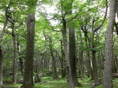 SANY0794.JPG