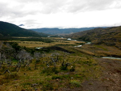 SANY0843.JPG
