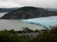 SANY0954.JPG