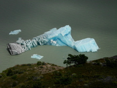 SANY0983.JPG