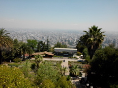 SANY0679.JPG