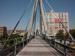 SANY0681.JPG