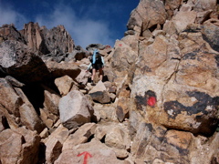 SANY1228.JPG