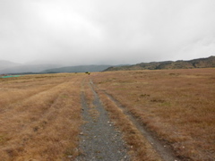 SANY0697.JPG